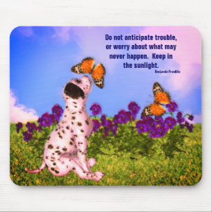 Puppy Butterflies Attitude Quote Muismat