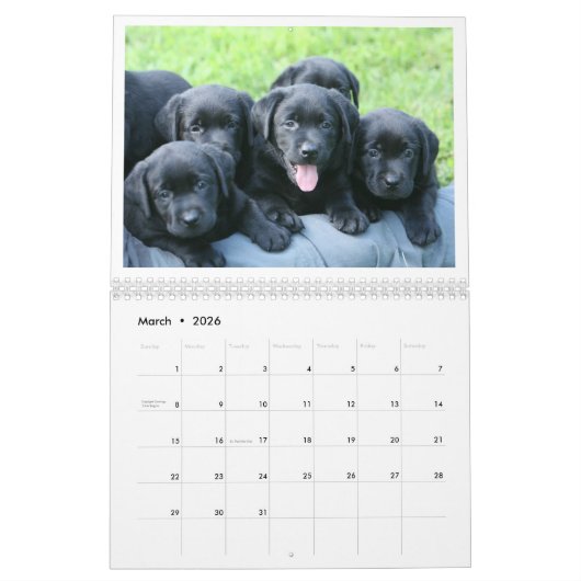 Puppy Calendar 2019 Kalender (Mar 2026)