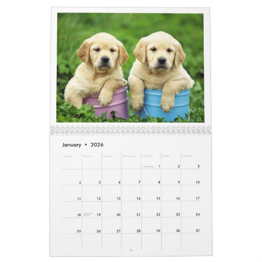 Puppy Calendar 2019 Kalender (Jan 2026)