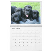 Puppy Calendar 2019 Kalender (Mar 2027)