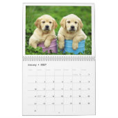 Puppy Calendar 2019 Kalender (Jan 2027)