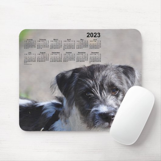Puppy Calendar 2023 van Janz Jack Russell Terrier Muismat (Met muis)
