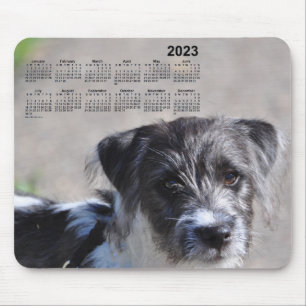 Puppy Calendar 2023 van Janz Jack Russell Terrier Muismat