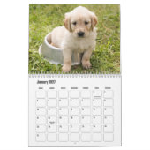 Puppy Calendar Kalender (Jan 2027)
