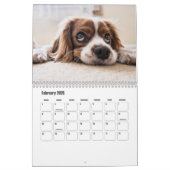Puppy Calendar Kalender (Feb 2026)