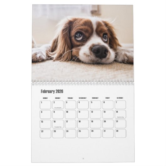 Puppy Calendar Kalender (Feb 2026)