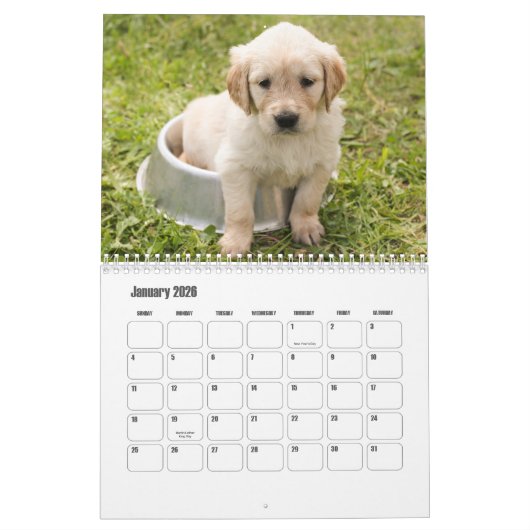 Puppy Calendar Kalender (Jan 2026)