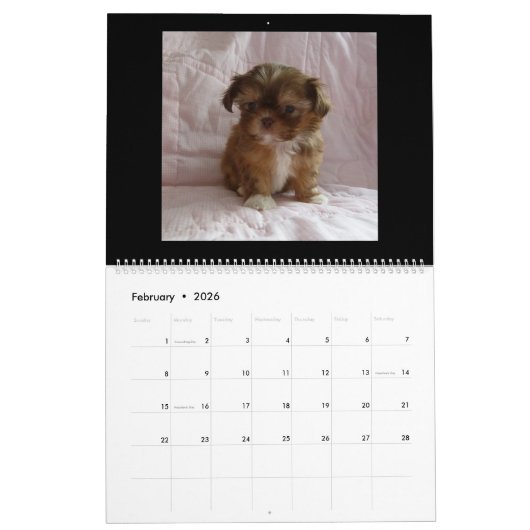 Puppy Calendar Kalender (Feb 2026)