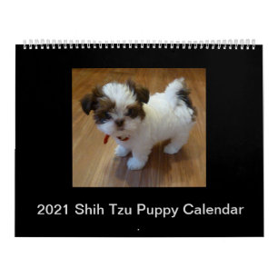 Puppy Calendar Kalender