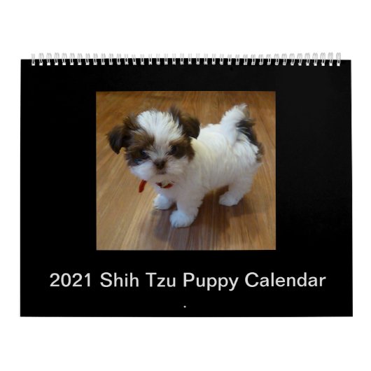 Puppy Calendar Kalender (Hoes)