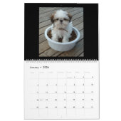 Puppy Calendar Kalender (Jan 2026)