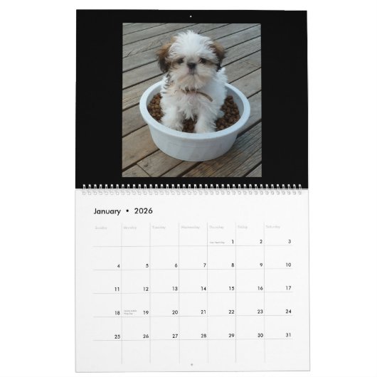 Puppy Calendar Kalender (Jan 2026)
