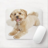 Puppy (Canis familiaris) 2 Muismat (Met muis)