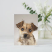 Puppy (Canis familiaris) Briefkaart (Staand voorkant)