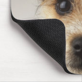Puppy (Canis familiaris) Muismat (Hoek)