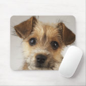 Puppy (Canis familiaris) Muismat (Met muis)