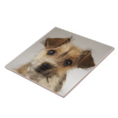Puppy (Canis familiaris) Tegeltje (Zijkant)