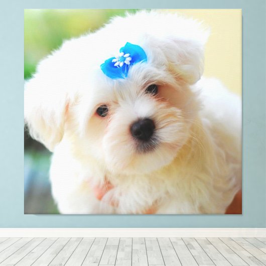 Puppy Canvas Afdruk (Insitu (Houten vloer))