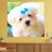 Puppy Canvas Afdruk (Insitu (Woonkamer))