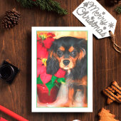 Puppy Cavalier King Charles Poinsettia Kaart