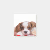 Puppy Cavalier King Charles Spaniel schrijft Post-it® Notes (Voorkant)