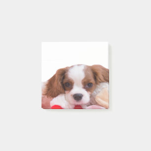 Puppy Cavalier King Charles Spaniel schrijft Post-it® Notes