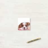 Puppy Cavalier King Charles Spaniel schrijft Post-it® Notes (Op bureau)