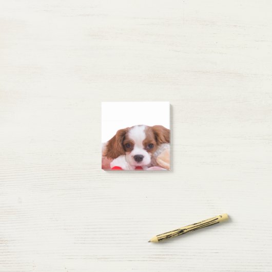 Puppy Cavalier King Charles Spaniel schrijft Post-it® Notes (Op bureau)