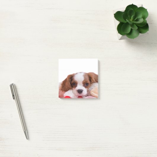 Puppy Cavalier King Charles Spaniel schrijft Post-it® Notes (Kantoor)