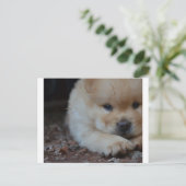 puppy chow chow.png briefkaart (Staand voorkant)