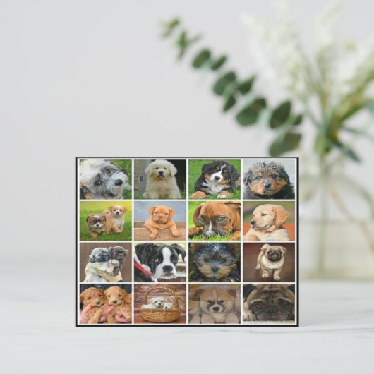 Puppy collage briefkaart (Staand voorkant)