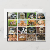 Puppy collage briefkaart (Voorkant / Achterkant)