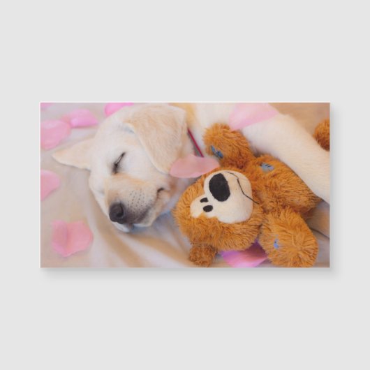 Puppy cuddles 02 (Voorkant)