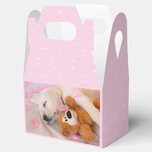 Puppy cuddles 02 bedankdoosjes (Geopend)