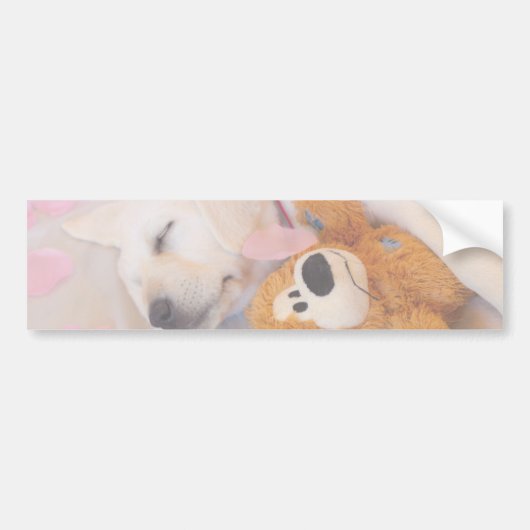 Puppy cuddles 02 bumpersticker (Voorkant)