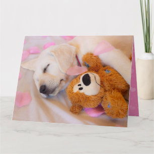 Puppy cuddles 02 kaart