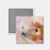 Puppy cuddles 02 magneet (Voorkant / Achterkant)
