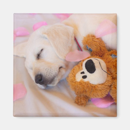 Puppy cuddles 02 magneet (Voorkant)