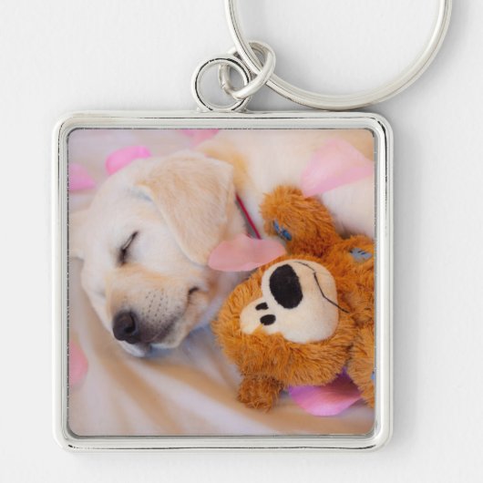 Puppy cuddles 02 sleutelhanger (Voorkant)