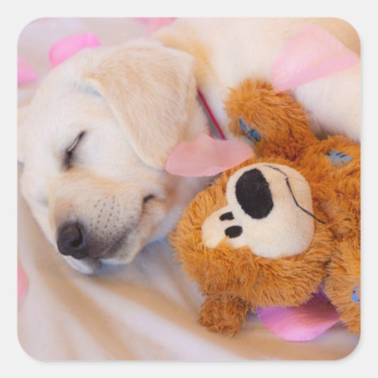 Puppy cuddles 02 vierkante sticker (Voorkant)