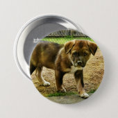 Puppy Curtness T-shirt Button (Voorkant /achterkant)