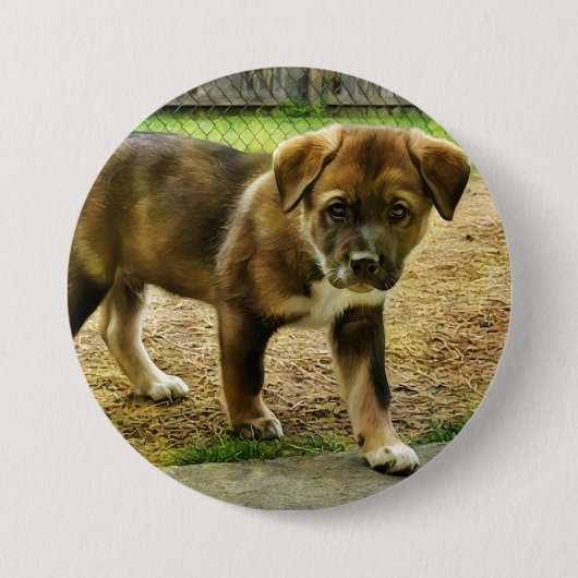 Puppy Curtness T-shirt Button (Voorkant)