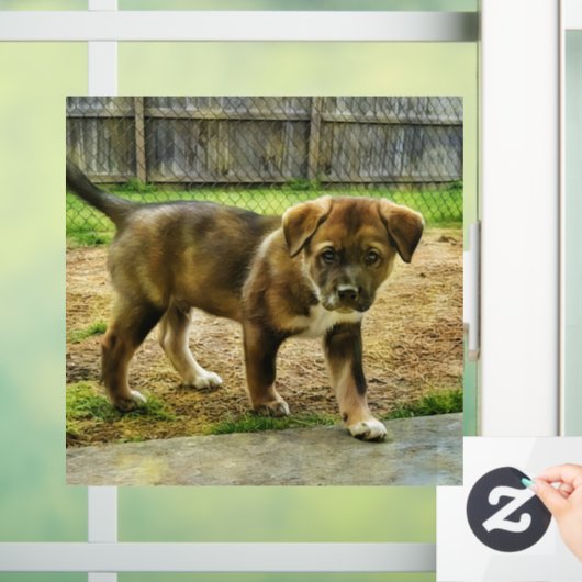 Puppy Curtness T-Shirt Raamklemmen Raamsticker (Huis)