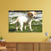 Puppy dat in de sneeuw speelt canvas afdruk (Insitu (Woonkamer))
