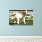 Puppy dat in de sneeuw speelt canvas afdruk (Insitu (Houten vloer))