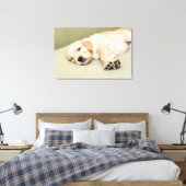 Puppy dat neer op Sofa ligt Canvas Afdruk (Insitu (Slaapkamer))