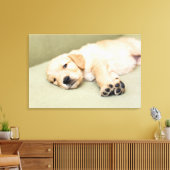 Puppy dat neer op Sofa ligt Canvas Afdruk (Insitu (Woonkamer))