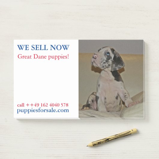 Puppy die gepost nota's verkoopt post-it® notes (Op bureau)