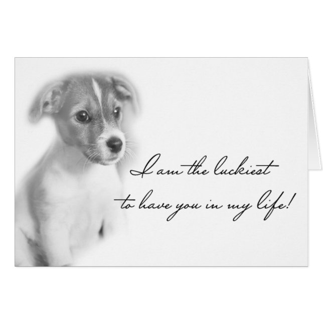 Puppy dog (Voorkant Horizontaal)