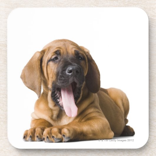 Puppy Dog 2 Onderzetter (Voorkant)